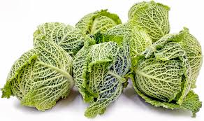 Cabbage Savoy